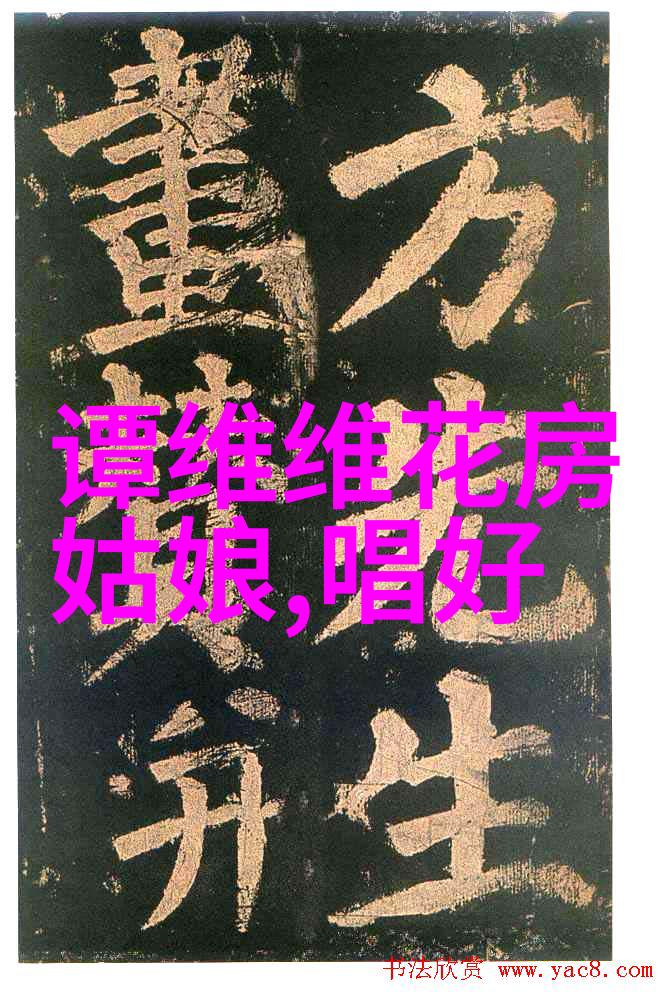 再芬黄梅大讲堂2016年首场讲座成功举办